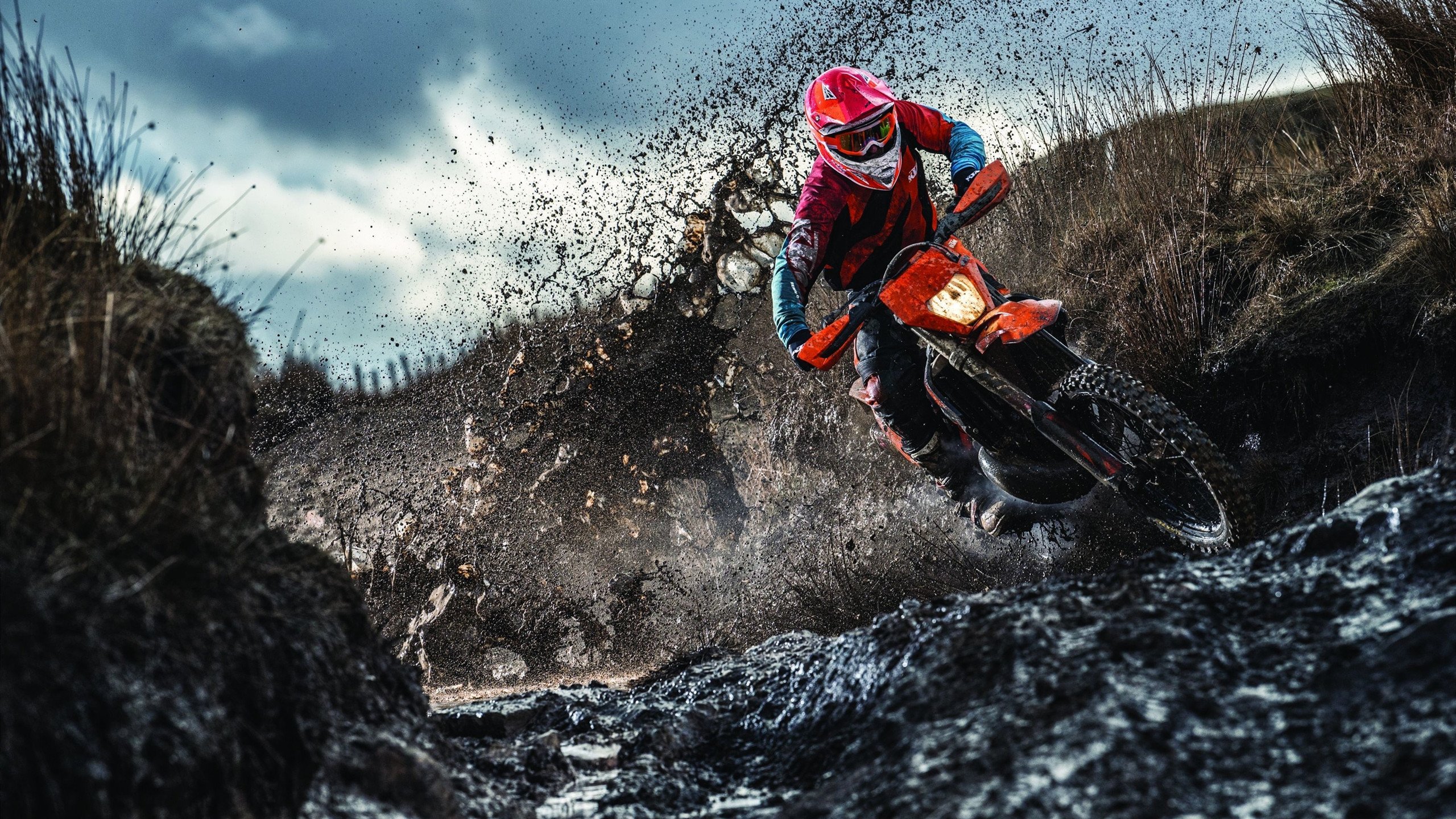 乔治点燃赛场!上海男篮火力全开,辽宁不败金身告破